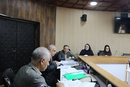 برگزاری جلسه بررسی اعطای پایه‌های تشویقی اعضای هیأت علمی دانشگاه